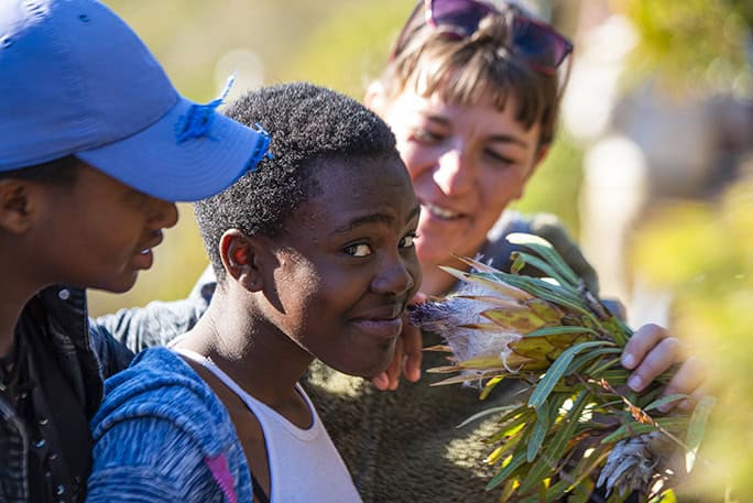 Fynbos Conservation, Grootbos Nature Reserve - Western Cape - South Africa