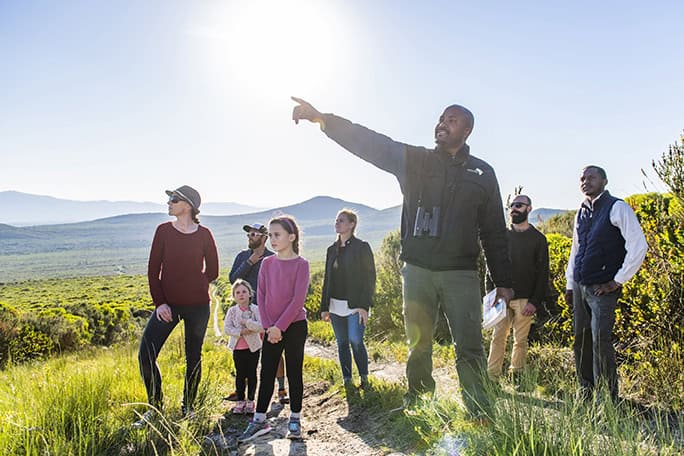 Celebrating Fynbos - Grootbos Nature Reserve, Western Cape, South Africa - Grootbos Foundation © Peter Chadwick