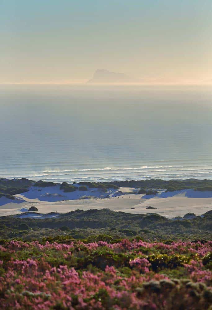 Walker Bay Grootbos Nature Reserve - Western Cape - South Africa