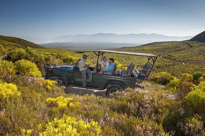 Fynbos experiences, Walker Bay Grootbos Nature Reserve - Western Cape - South Africa