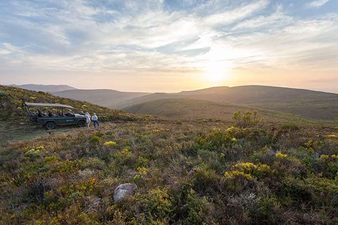 Fynbos experiences, Walker Bay Grootbos Nature Reserve - Western Cape - South Africa