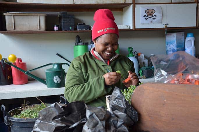 Green Futures South Africa Grootbos Foundation Adult Education and Training College