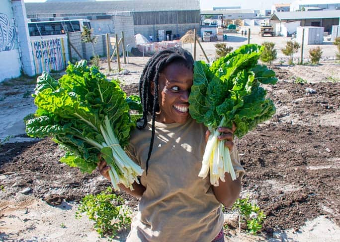 Grootbos foundation Masakhane Community Garden, Western Cape, South Africa