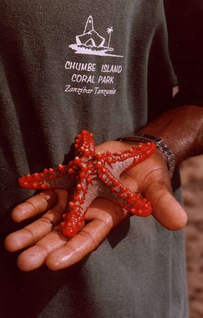 Tanzania-Chumbe-Island-Starfish-and-logo-©-Heinz-Heile