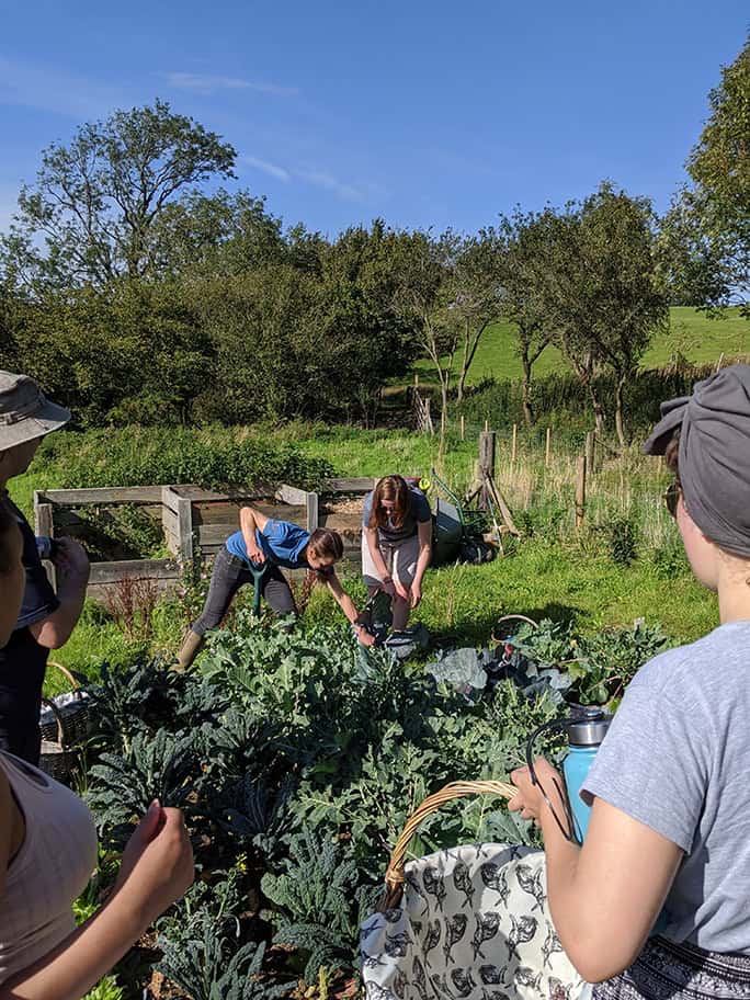 Wales-Adventure-Tours-UK-Wild-Wellness allotment