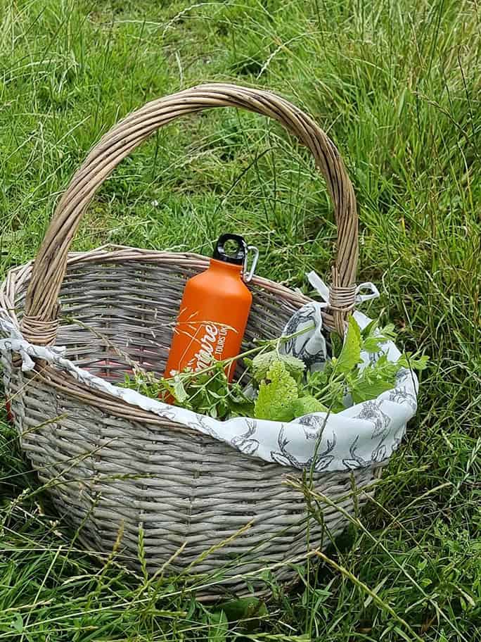 Wales-Adventure-Tours-UK-Wild-Wellness-forage