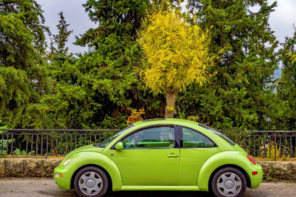 green Beetle car. VW was found guilty of greenwashing