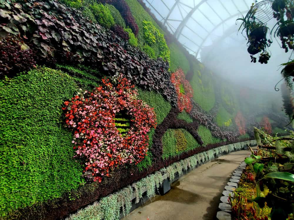 Green Wall - Greg Jenkins on Unsplash - 9qlCQ7eM8pk