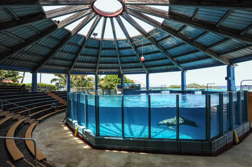 sea world tank - Jo-Anne mcarthur -PwhsoMMepUY on unsplash