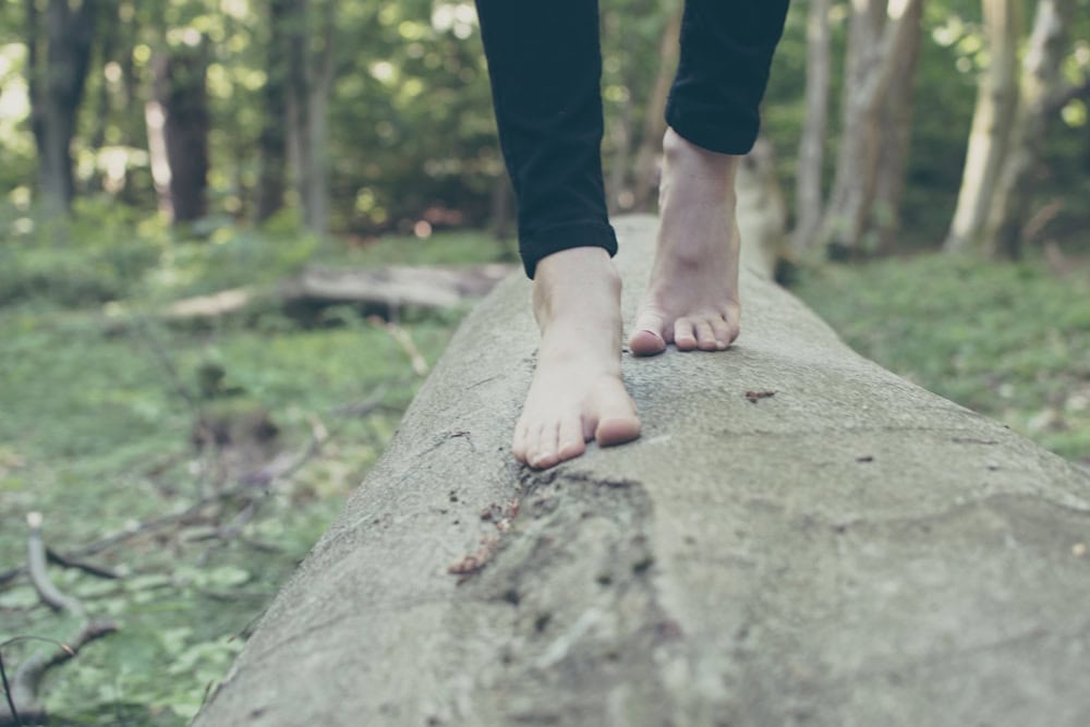 michal-parzuchowski-682447-bare-foot-tree-unsplash-